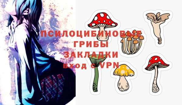 дурь Волоколамск